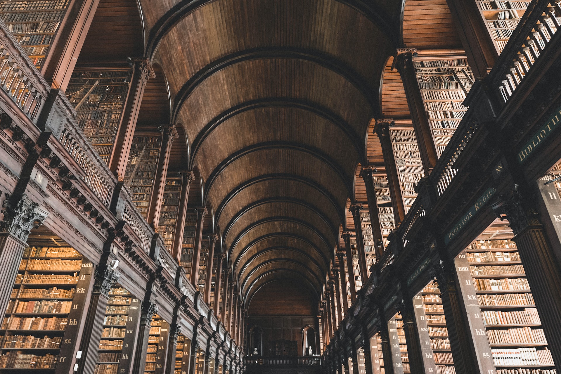 another picture of trinity college library